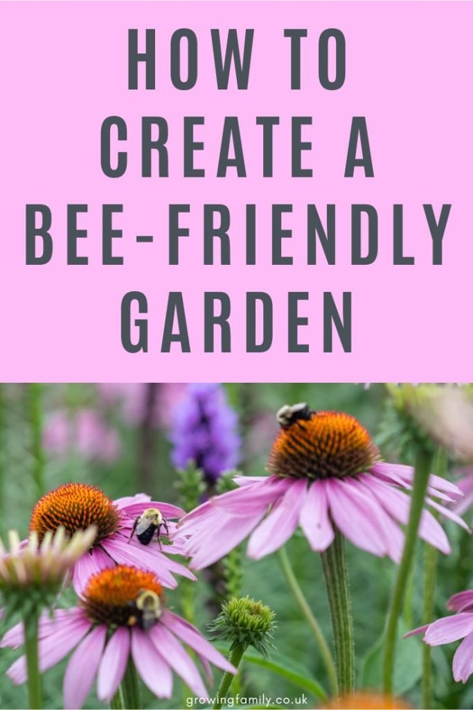 Looking for the best flowers for bees? Discover how to create a bee-friendly garden filled with colourful plants that attract pollinators and support local wildlife. Whether you're new to gardening or an experienced grower, these wildlife gardening ideas will help you choose flowers that benefit bees while making your garden bloom beautifully all season long.
