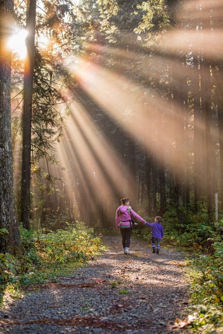 Walking in the woods: what to take on a family adventure