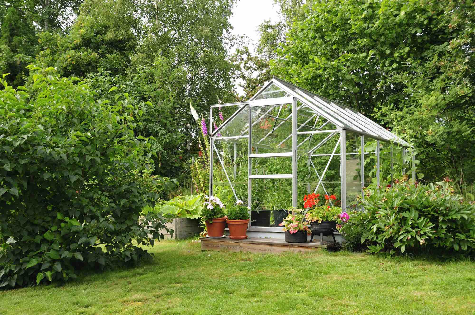 a greenhouse in a garden