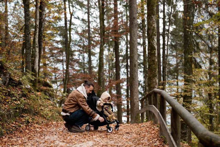 Exploring nature with little ones: choosing the right stroller for outdoor adventures