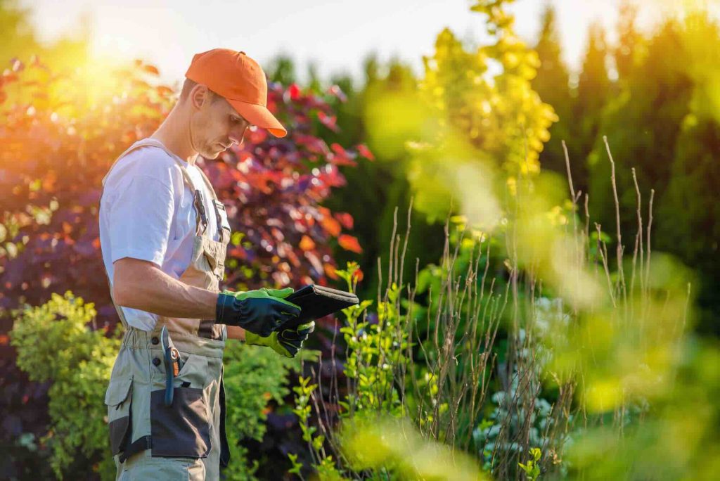 a landscaper looking at a tablet in a garden
