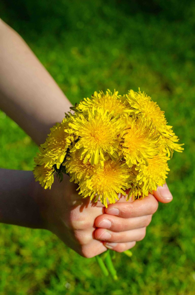 Fun dandelion activities for kids to try outdoors